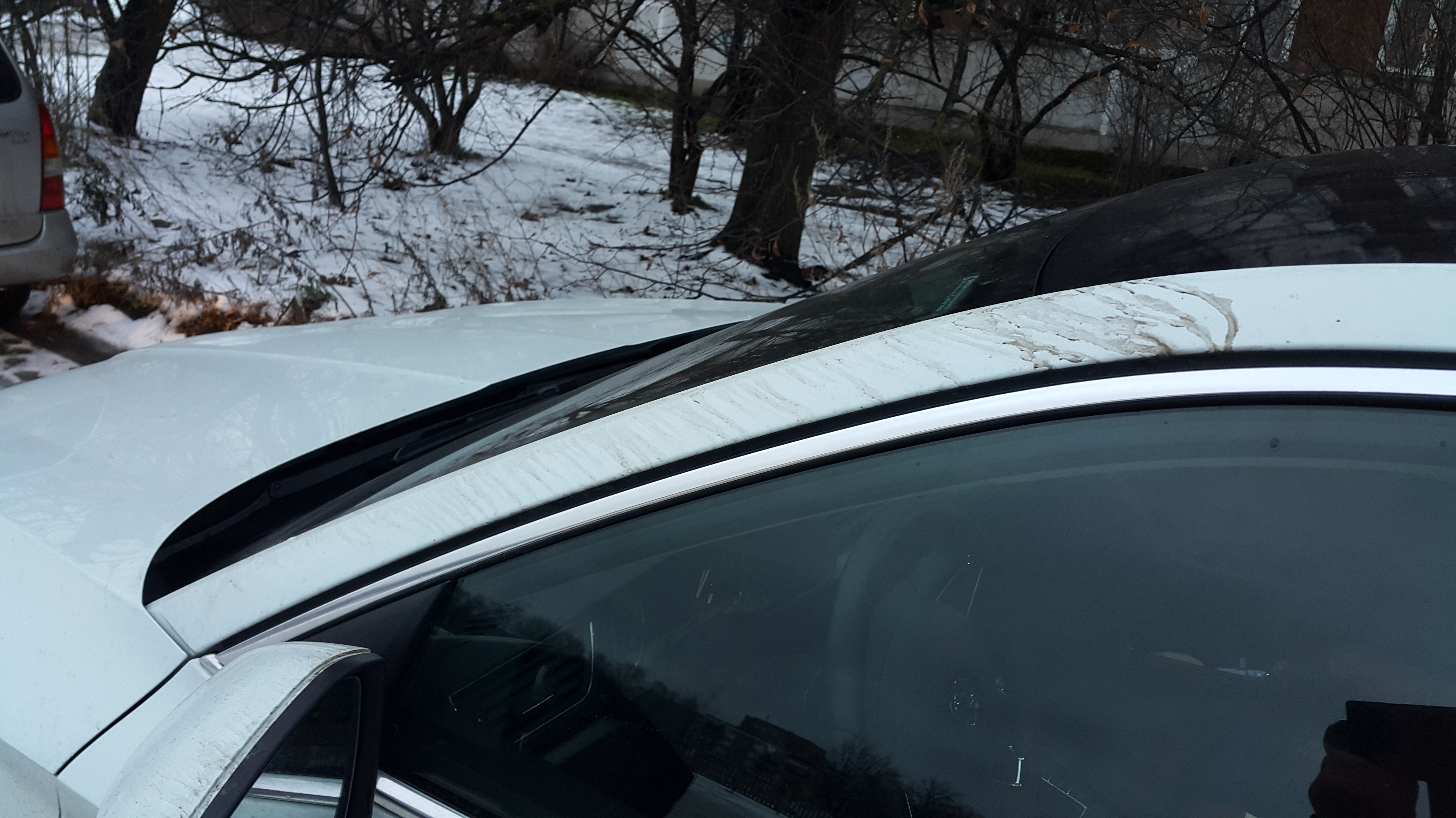 20161205_085359.jpg